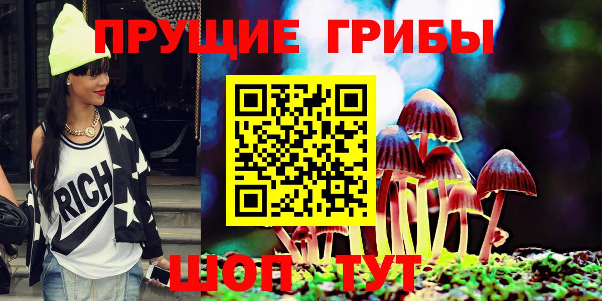 как найти наркотики  Вход с VPN  Псилоцибиновые грибы мицелий  Озёрск  Псилоцибиновые грибы Psilocybe 