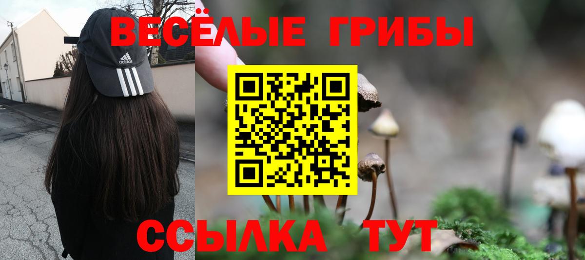 Галлюциногенные грибы ЛСД Озёрск